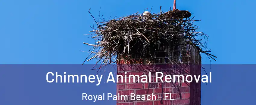 Chimney Animal Removal Royal Palm Beach - FL