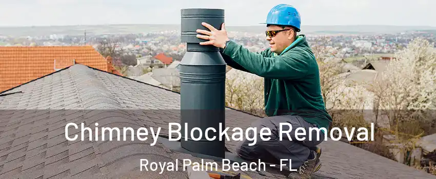  Chimney Blockage Removal Royal Palm Beach - FL