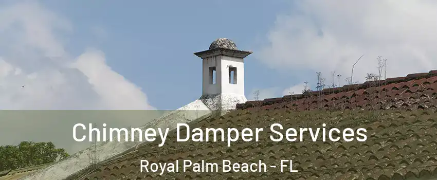  Chimney Damper Services Royal Palm Beach - FL