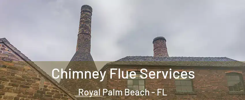  Chimney Flue Services Royal Palm Beach - FL