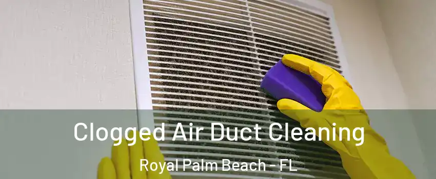  Clogged Air Duct Cleaning Royal Palm Beach - FL