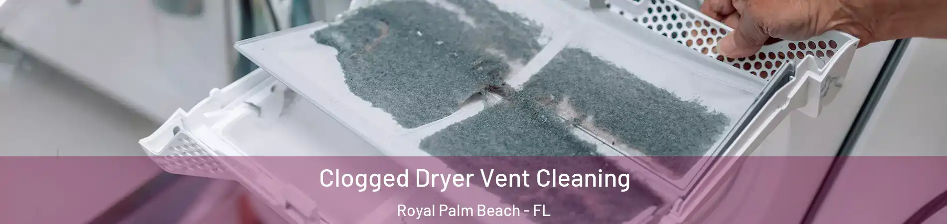  Clogged Dryer Vent Cleaning Royal Palm Beach - FL