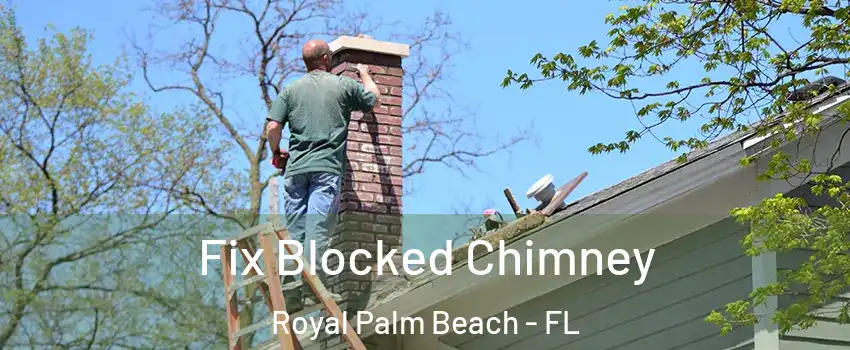  Fix Blocked Chimney Royal Palm Beach - FL