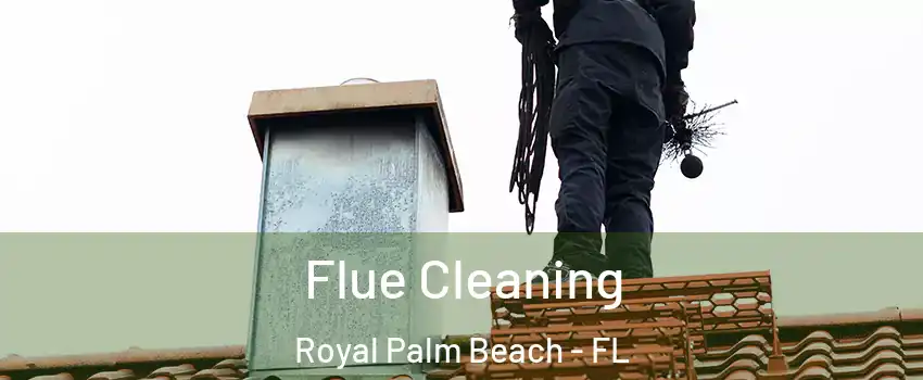  Flue Cleaning Royal Palm Beach - FL