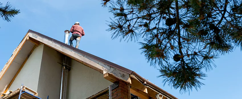 Birds Removal Contractors from Chimney in Royal Palm Beach, FL