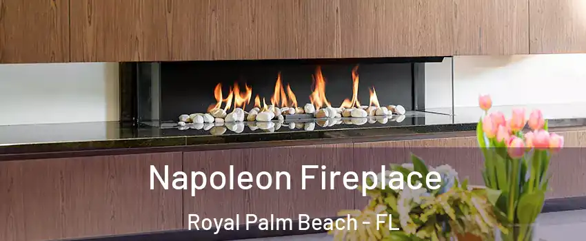  Napoleon Fireplace Royal Palm Beach - FL